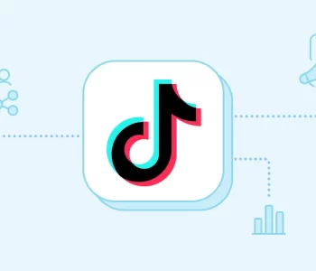 Organic TikTok Strategy