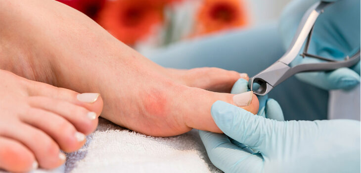 Professional toe nail clippers designed for thick nails, perfect for precise trimming and grooming