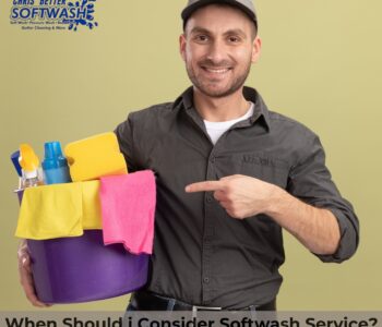 roof cleaning Tallahassee