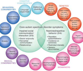 Autism Spectrum Disorder