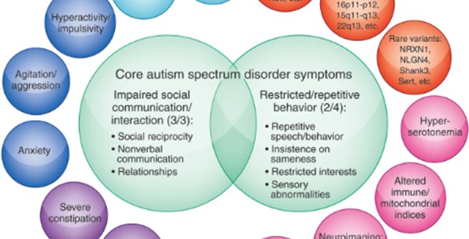 Autism Spectrum Disorder