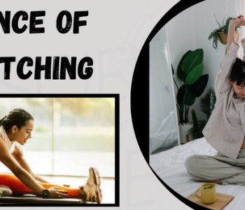 Science Of Stretching