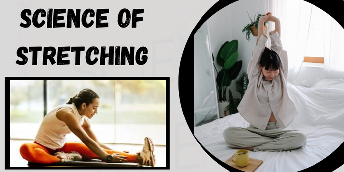 Science Of Stretching