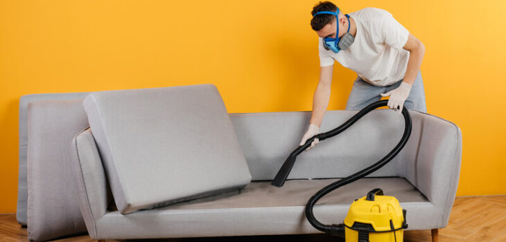 What Makes Sofa Cleaning in St Marys Essential?