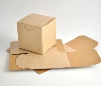 kraft boxes