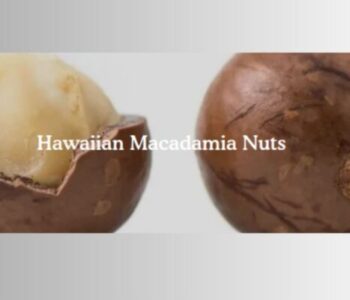 Macadamia nuts