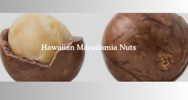 Macadamia nuts