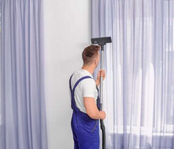 Curtain Cleaning in Camellia: DIY vs. Professional Solutions
