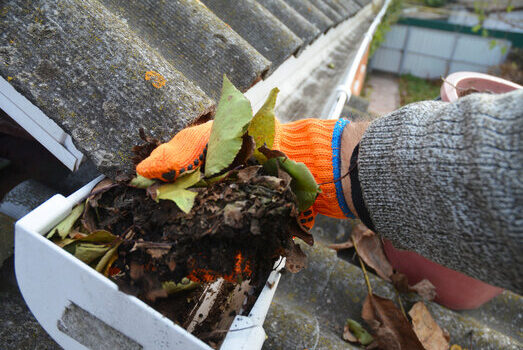 gutter cleaning service