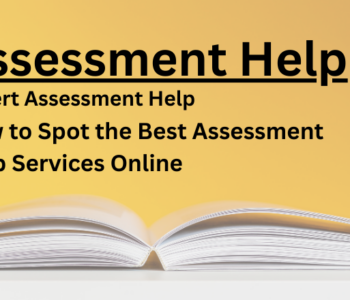assessment help