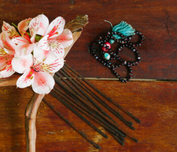 Natural Hair Pins