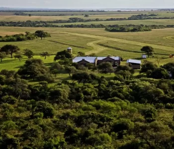 Why Large Land Parcels in Montana Are Selling Faster Than Ever