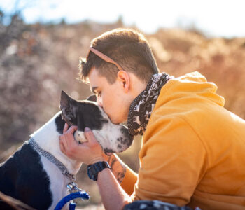 pet euthanasia Portland