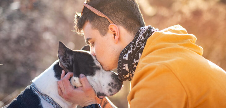 pet euthanasia Portland