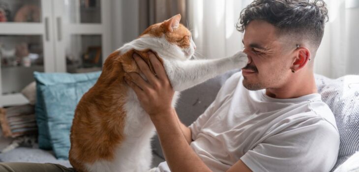 Cat sitter