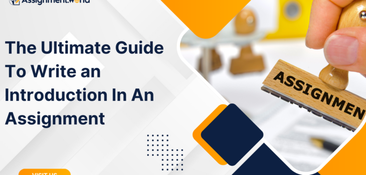 The Ultimate Guide To Write an Introduction In An Assignment