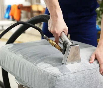 Upholstery Cleaning Service New York