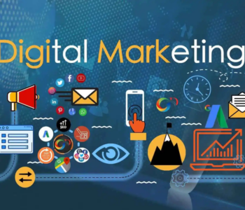digital marketing insights