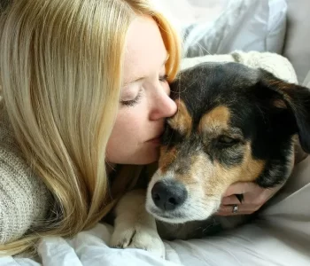 pet euthanasia seattle