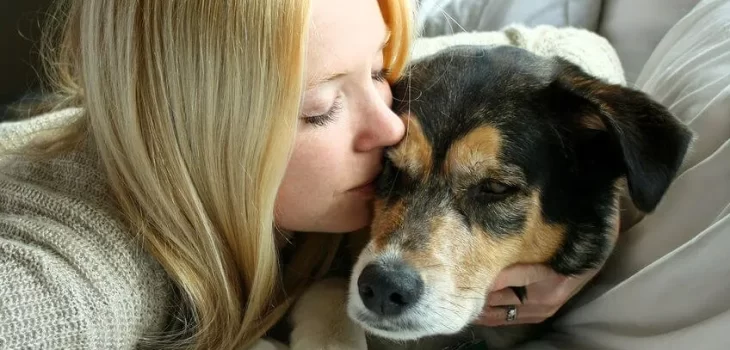 pet euthanasia seattle