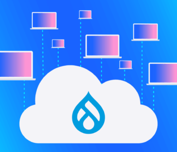 Why Drupal Developers Are Ideal for Complex Web Portals