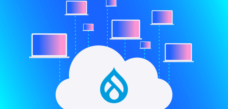Why Drupal Developers Are Ideal for Complex Web Portals