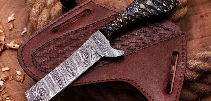 Guide: Everything You Need to Know About Bull Cutter Knives