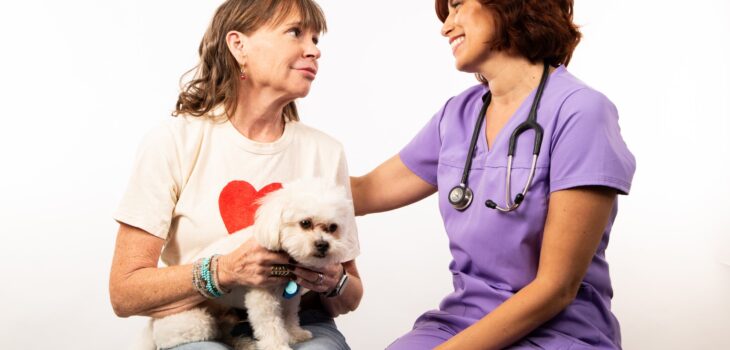 At-Home Euthanasia