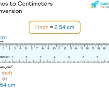 7.3 cm to inches