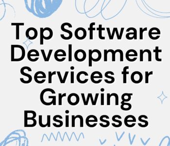 custom software development in south africa