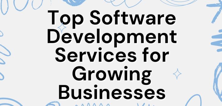 custom software development in south africa