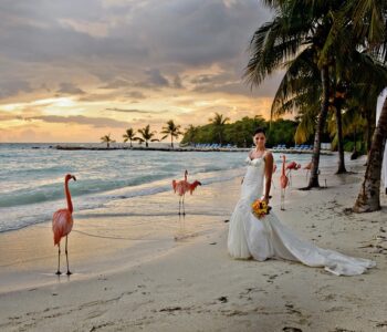 Aruba’s Most Talented photogrpher