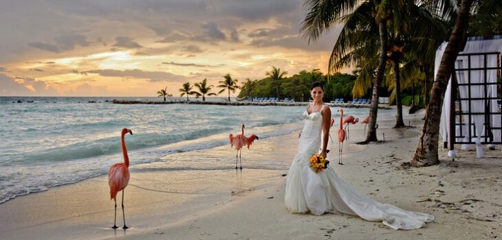 Aruba’s Most Talented photogrpher