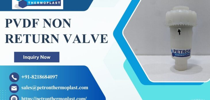 PVDF Non Return Valve