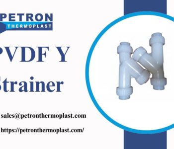 PVDF Y Strainer