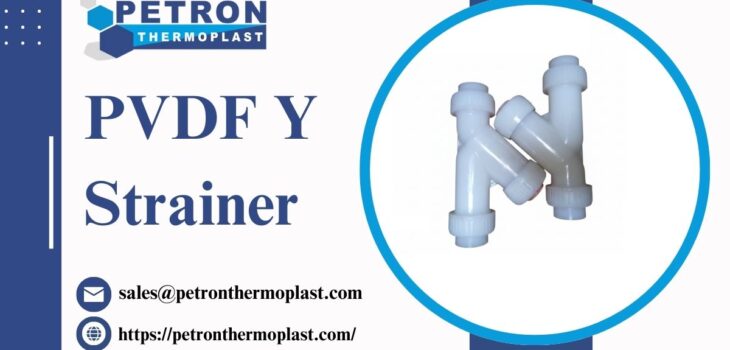PVDF Y Strainer