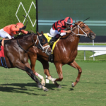 Why Is the Calcutta Horse Race a Must-Watch Event for Racing Fans?