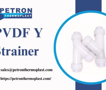 PVDF Y Strainer