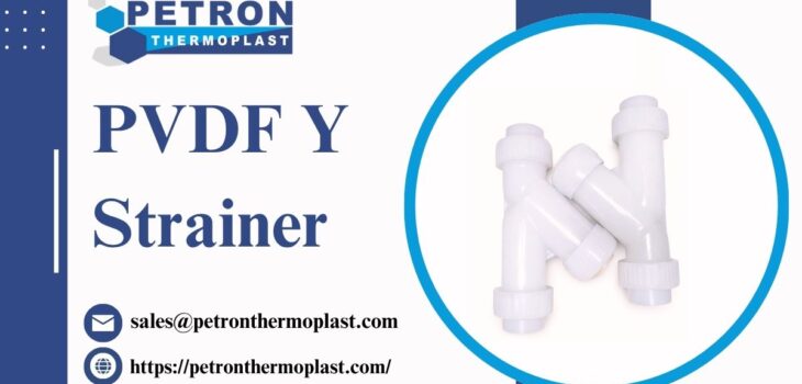 PVDF Y Strainer